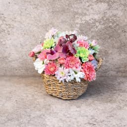 Sepette Renkli Aranjman - 1